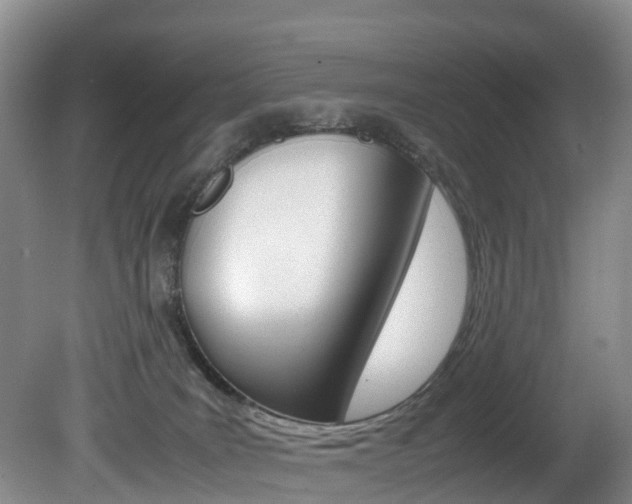 X0000081570035200701151037