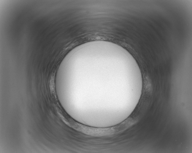 X0000081570036200701151037