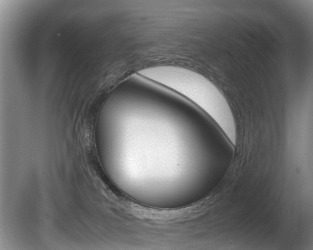 X0000081570039200701151037