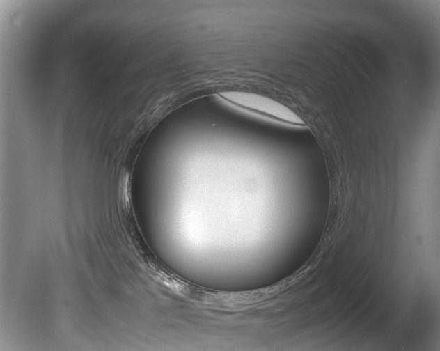 X0000081570041200701151037