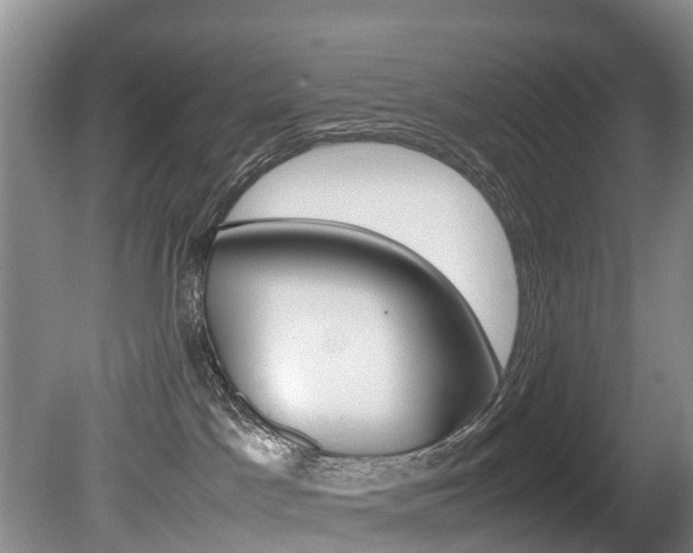 X0000081570045200701151037