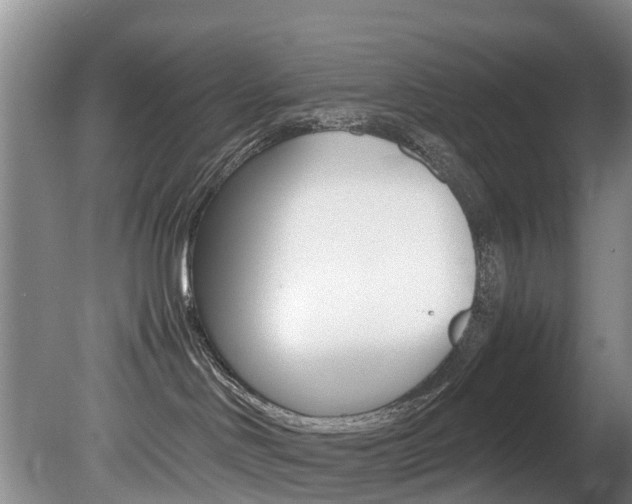X0000081570046200701151037