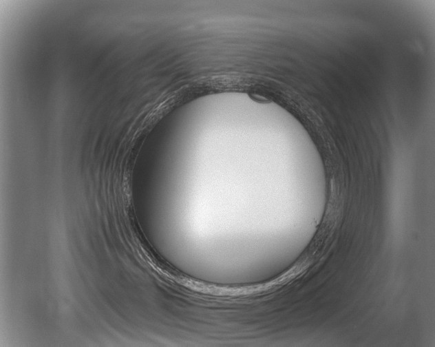 X0000081570048200701151037