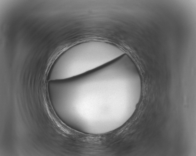 X0000081570049200701151036