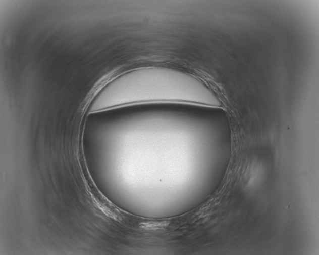 X0000081570051200701151036
