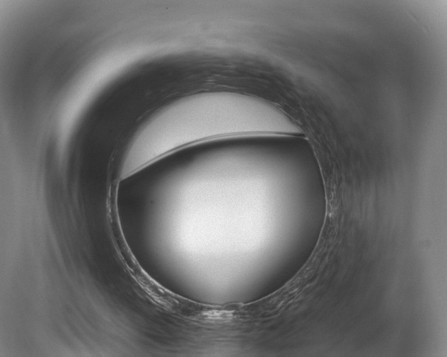 X0000081570052200701151036