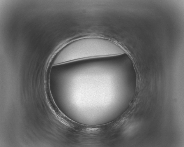 X0000081570055200701151036