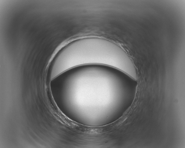 X0000081570056200701151036
