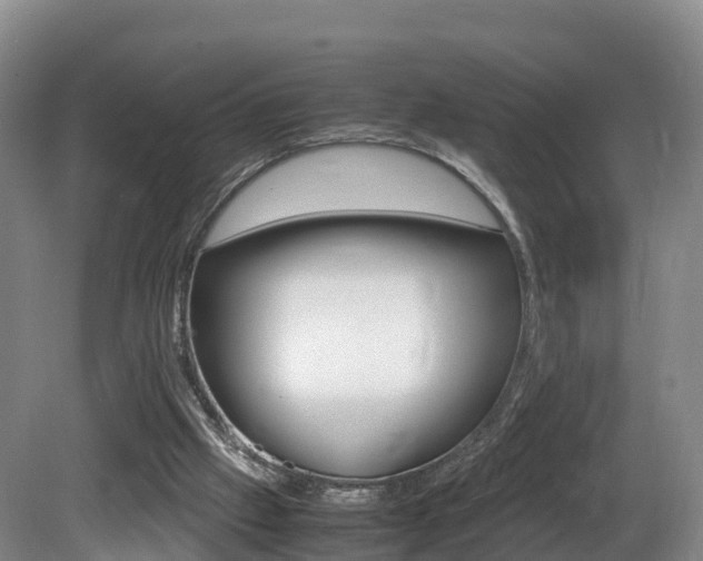X0000081570057200701151036