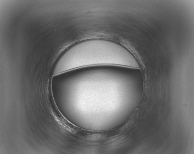 X0000081570058200701151036