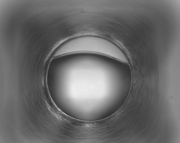 X0000081570060200701151036