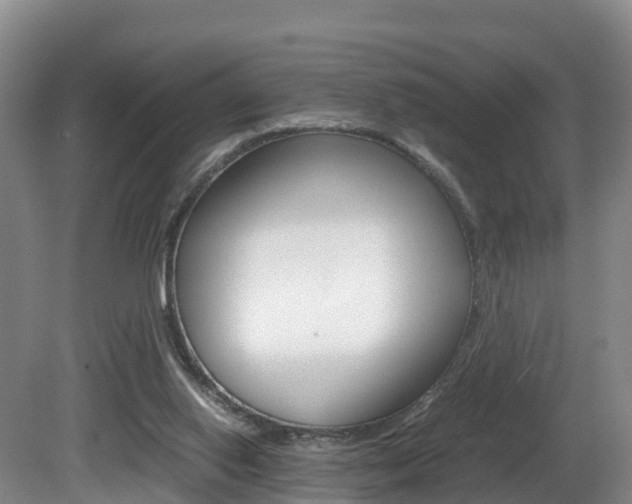 X0000081570062200701151036