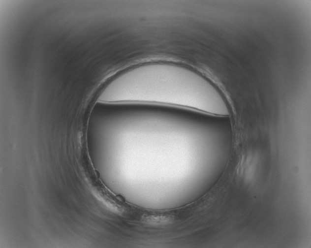 X0000081570063200701151036
