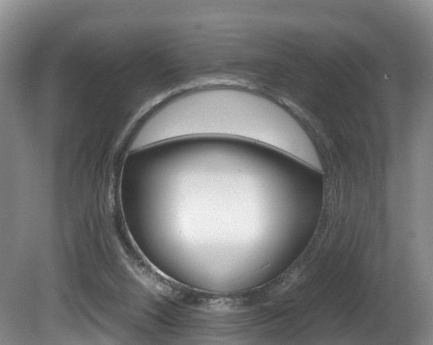 X0000081570064200701151036