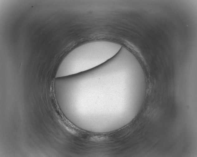 X0000081570065200701151036