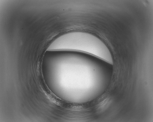 X0000081570066200701151036