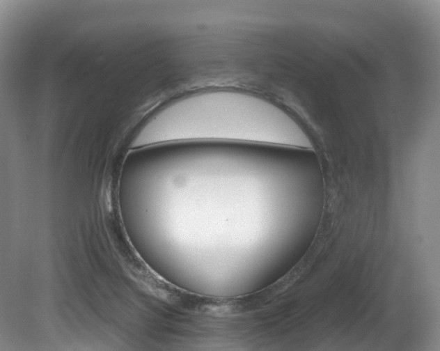 X0000081570068200701151036