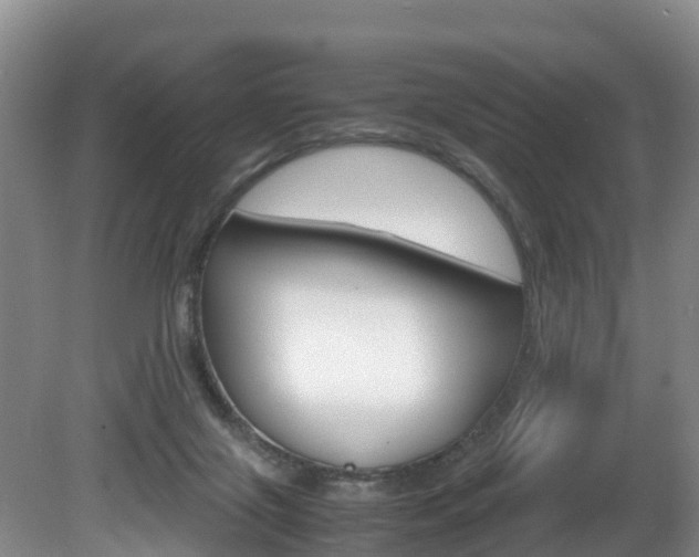 X0000081570071200701151037