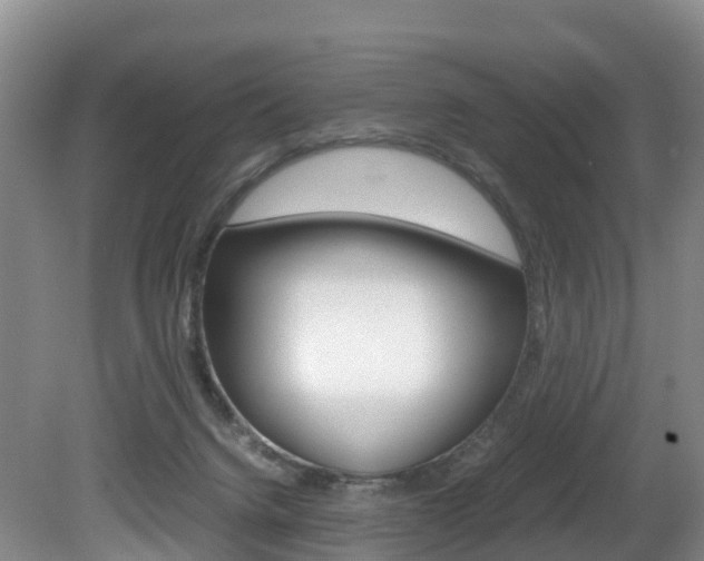 X0000081570072200701151037