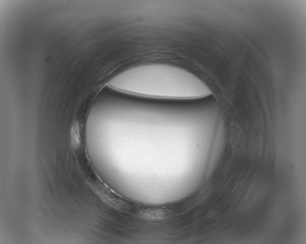 X0000081570075200701151037