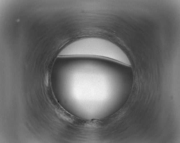 X0000081570076200701151037