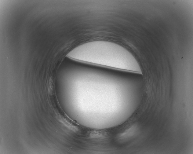 X0000081570077200701151037