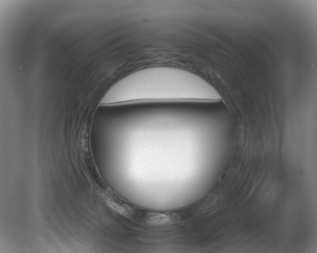 X0000081570083200701151037
