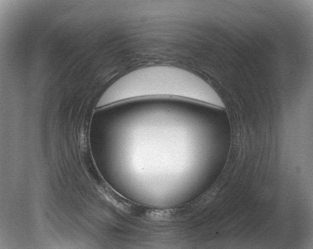 X0000081570084200701151037