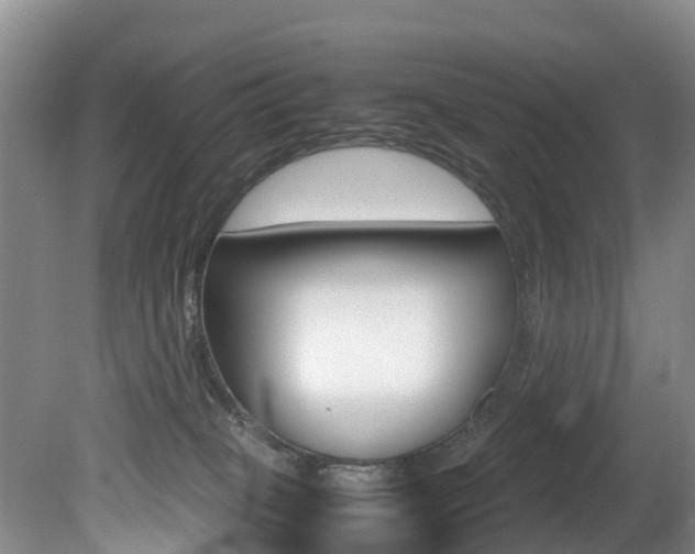X0000081570085200701151037