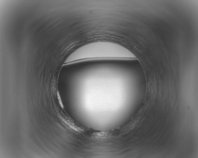 X0000081570092200701151037
