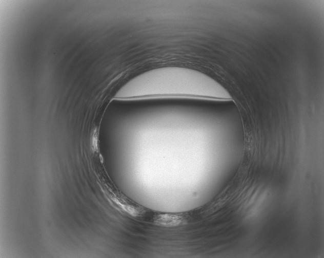 X0000081570095200701151037