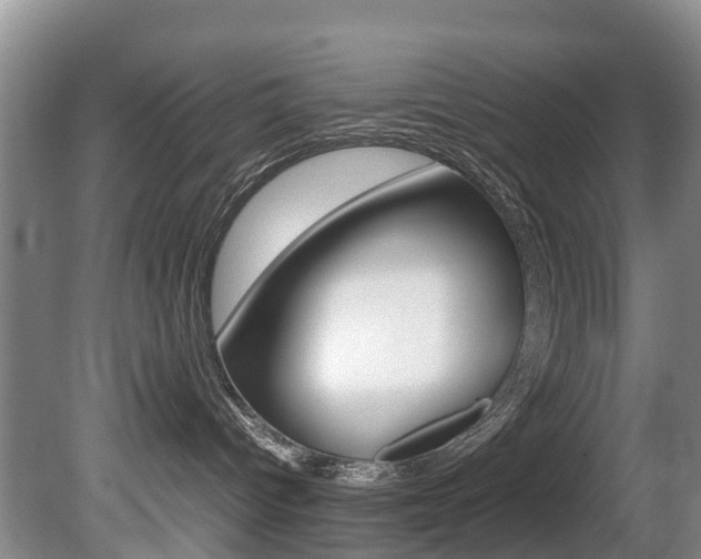 X0000081570096200701151037