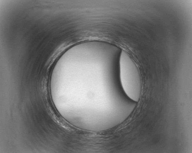 X0000081570098200701151036