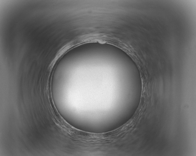 X0000081570099200701151036