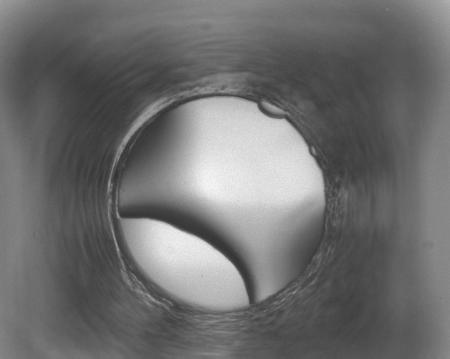 X0000081570100200701151036
