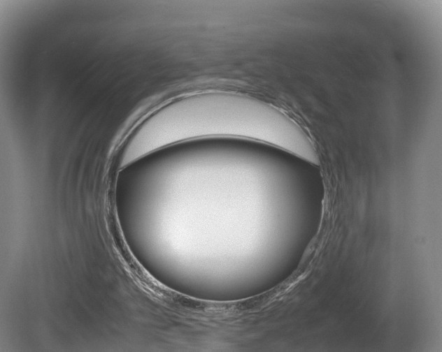 X0000081570101200701151036