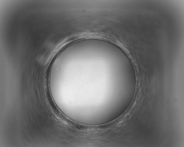 X0000081570103200701151036