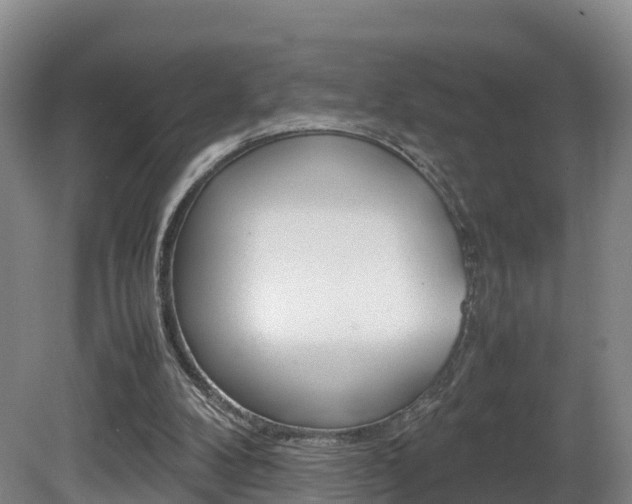 X0000081570104200701151036