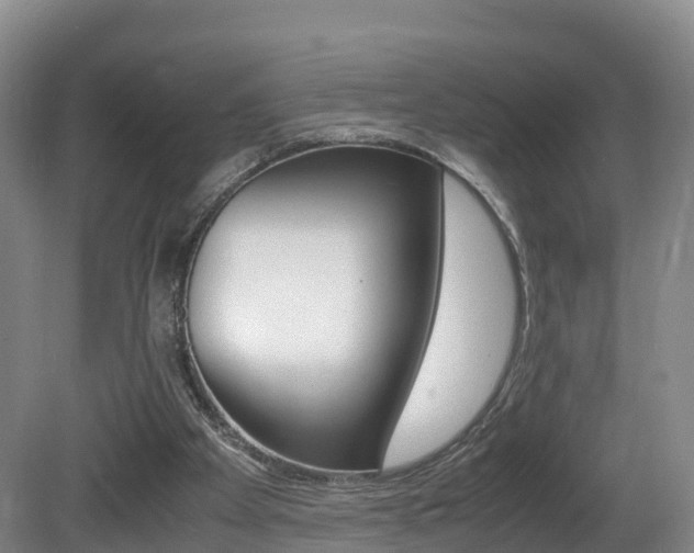 X0000081570105200701151036