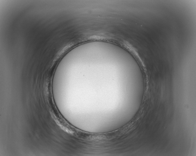 X0000081570106200701151036