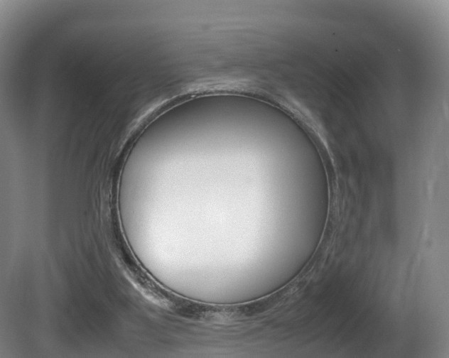 X0000081570107200701151036
