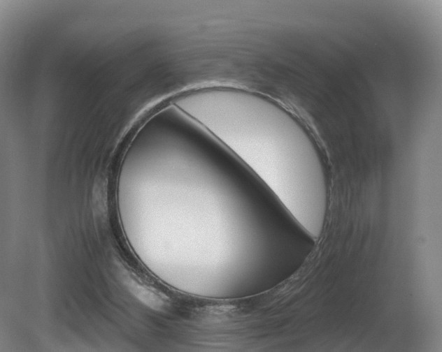 X0000081570108200701151036