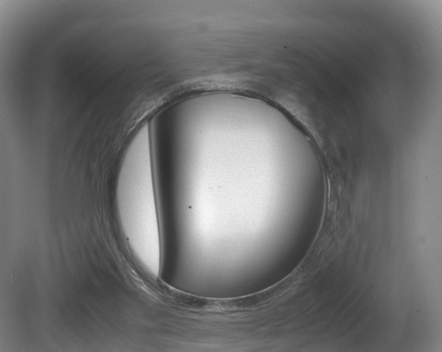 X0000081570109200701151036