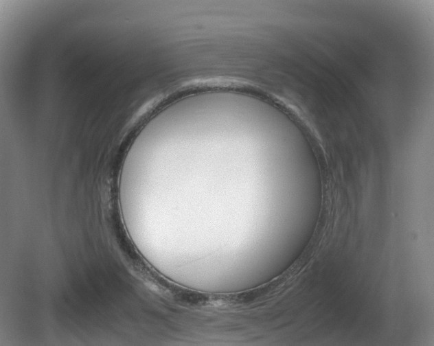 X0000081570111200701151036