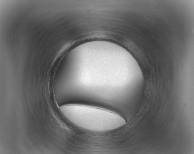 X0000081570112200701151036