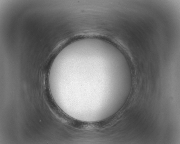 X0000081570115200701151036