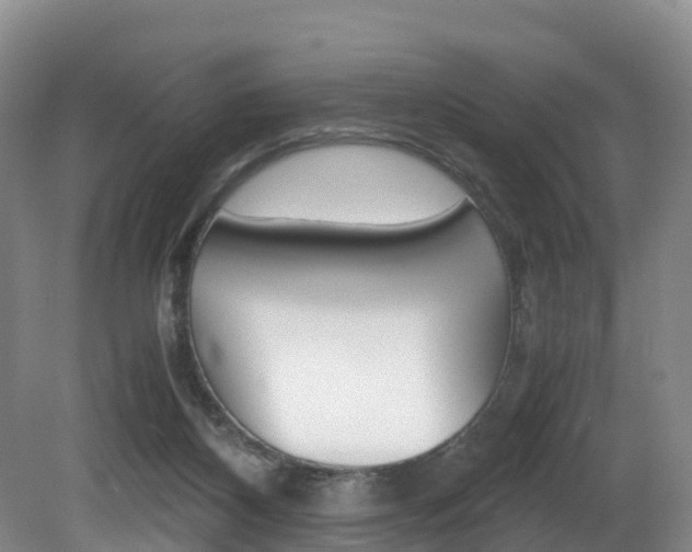 X0000081570116200701151036