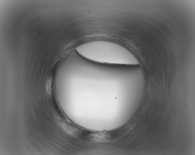 X0000081570118200701151036