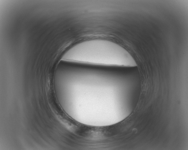 X0000081570120200701151036