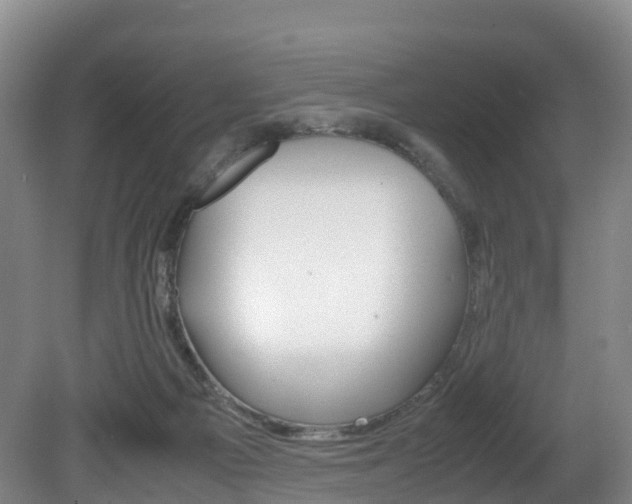 X0000081570121200701151036